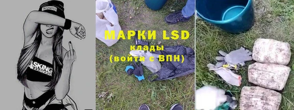 МДПВ Алзамай