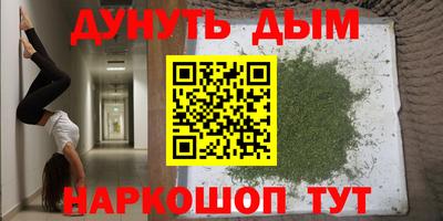 прущие грибы Камышлов