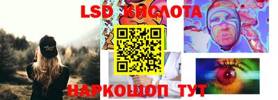 прущие грибы Камышлов