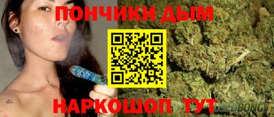 прущие грибы Камышлов